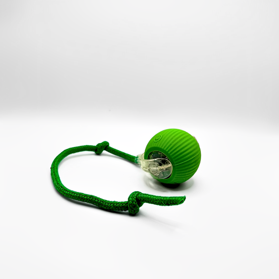 SINTIVO™ Interactief Kattenspeeltje 1 + 1 GRATIS